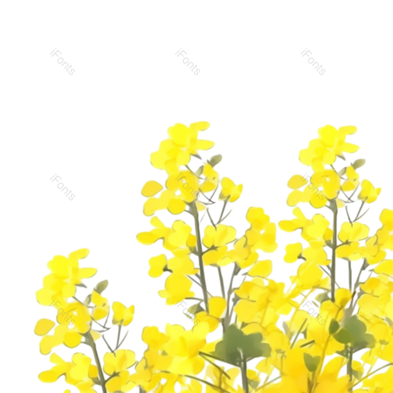 元素图片,清新元素,黄色的花PNG,户外免抠素材